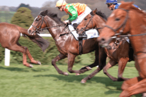 Technology Changing Horse Racing
