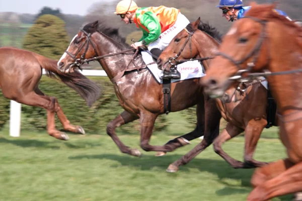 Technology Changing Horse Racing