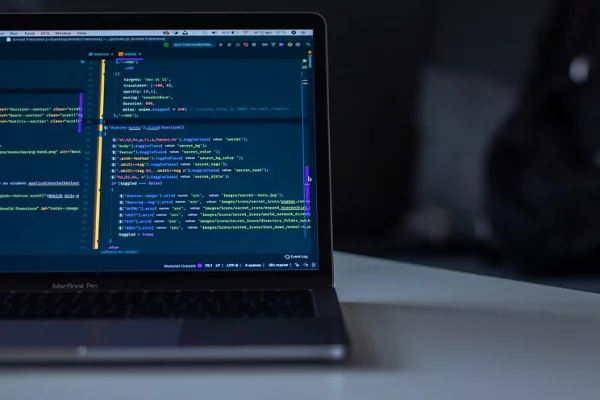 Choosing A Software Development Company
