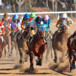 Why Horse Racing Is Like No Other