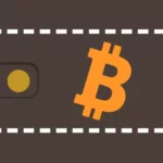 What are the Different Types of Bitcoin Wallets? Explain In Brief