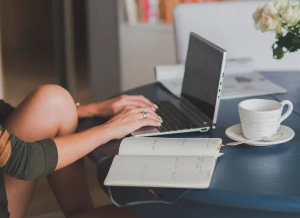 AceThinker Free Online Video Downloader