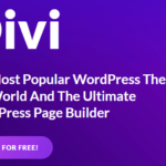 A Guide to Pick the Best Divi Theme Templates for Your Blog