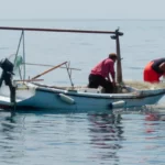 Przewodnik po połowach z łukiem