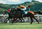 Tips for Horse Racing