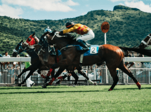 Tips for Horse Racing