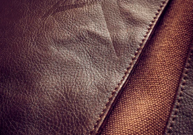 Cos'è la pelle di micelio