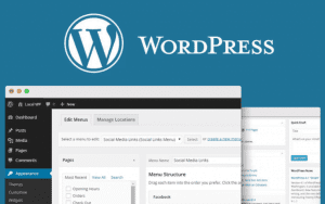 Make A WordPress Website