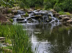 Six Places To Explore In Pigeon Forge