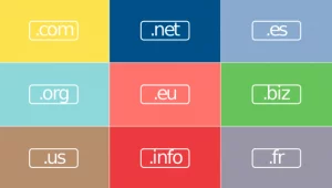 How To Get Pick The Right Domain