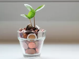 Why FD Is Better Than Savings Account