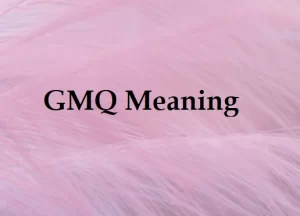 What does GMQ stand for?