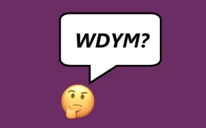 What Does WDYM Mean?