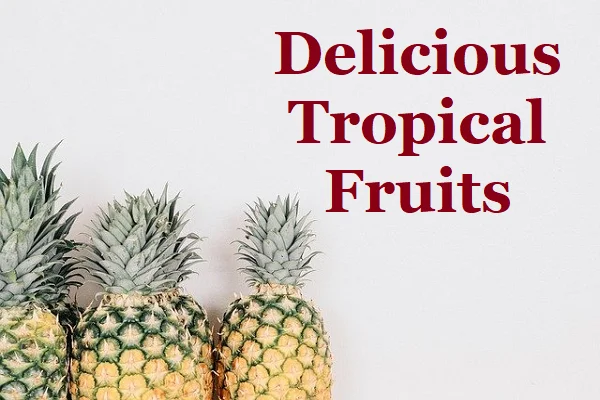 Delicious Tropical Fruits