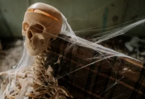Best Japanese Horror Movies