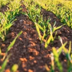 Precision Agriculture: Crop Production Technologies