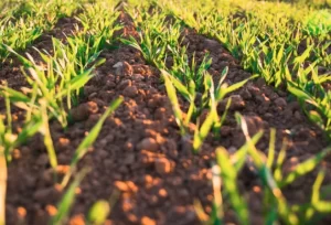 Precision Agriculture