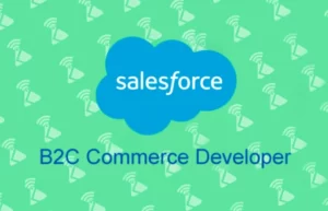 Salesforce B2C Commerce Developer