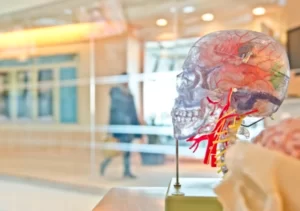 Ideas for Developing Cognitive Skills