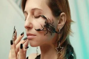 Scorpion Spirit Animal Symbolism and Dreams