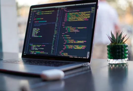 Learn Programming In College