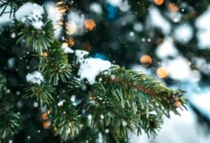 Countries That Celebrate White Christmas