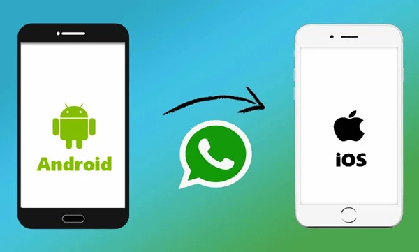 WhatsApp Transfer Transfer WhatsApp from Android to iPhone