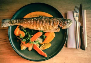 Benefits Of Live Fish Food for Your Freshwater Fish