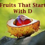 Fruits That Start With D