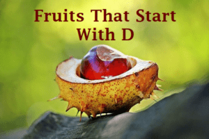 Fruits That Start With D