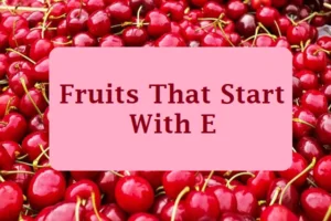 Fruits That Start With E: All 19 Common and Rare Varieties