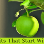 Fruits That Start With F