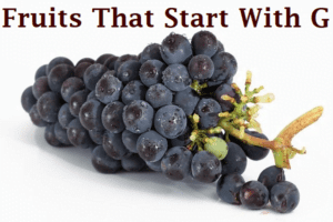 Fruits That Start With G