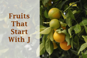 Fruits That Start With J