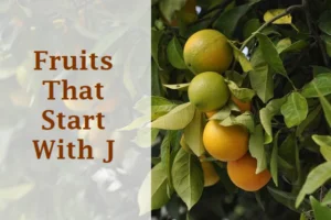Fruits That Start With J