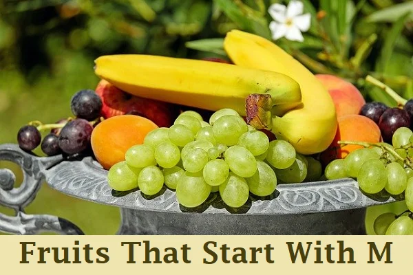 Fruits That Start With M