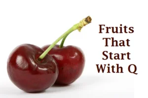 Fruits That Start With Q