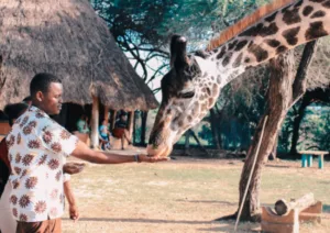 From India to Kenya for Safari – 5 Must Visit Destinations