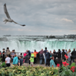 Top 5 Spring Activities In Canada