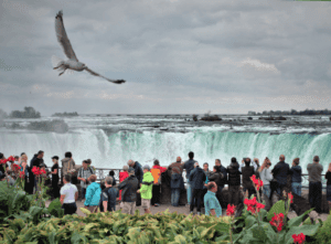 Spring Travel In Canada