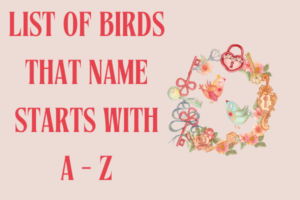 Birds that start with A-Z
