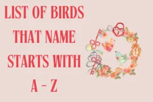 Birds that start with A-Z