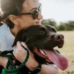 Become A Certified Dog Trainer Online