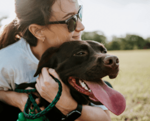 Become A Certified Dog Trainer Online