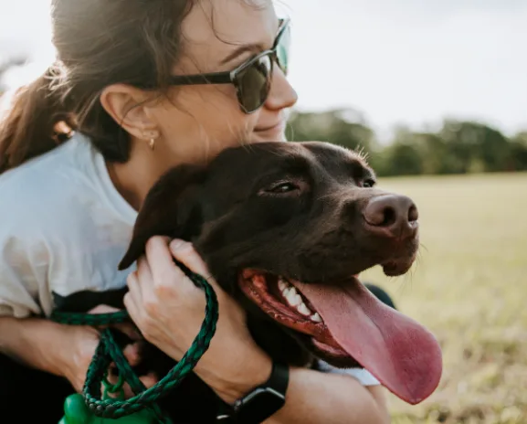Become A Certified Dog Trainer Online
