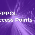 Peppol Access Point