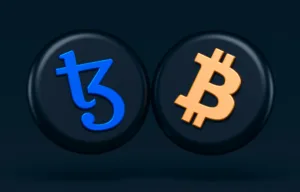 What Company Is Needed for A Crypto Project In SVG