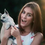 Things To Look For In Pet Insurance