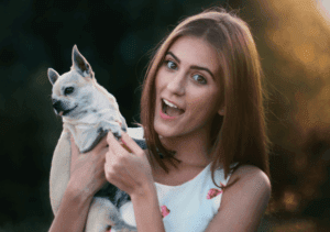 Things To Look For In Pet Insurance