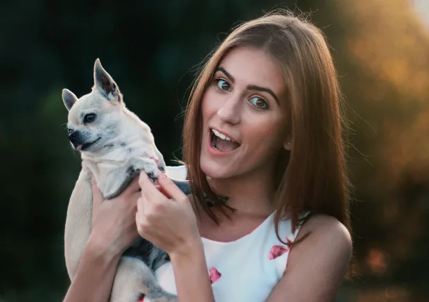 Things To Look For In Pet Insurance